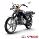 KYMCO光陽機車 勁多利 150(2017年新車) product thumbnail 2