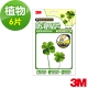 3M 防滑貼片-植物(6片) product thumbnail 1