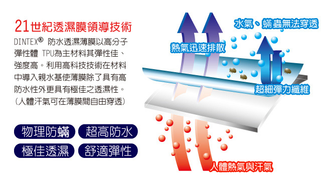 LooCa 物理防蹣防水包覆式保潔墊-雙人(三色任選)