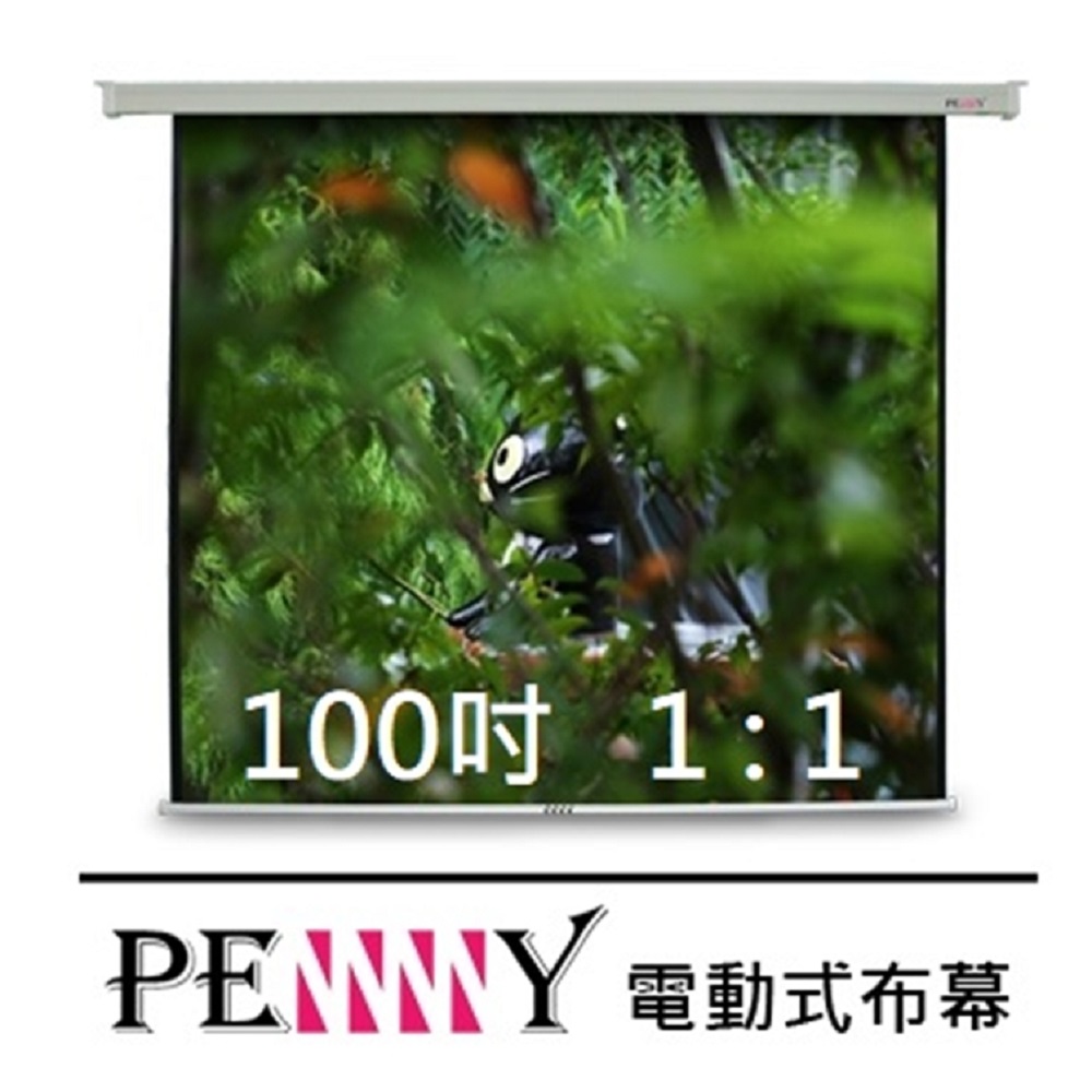 台灣專業製造~ PENNY PS-100(1:1) 100吋方型電動幕