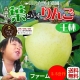 果之蔬-日本青森縣 王林蘋果10-12入(2.5公斤/每顆200-250克±10%) product thumbnail 1