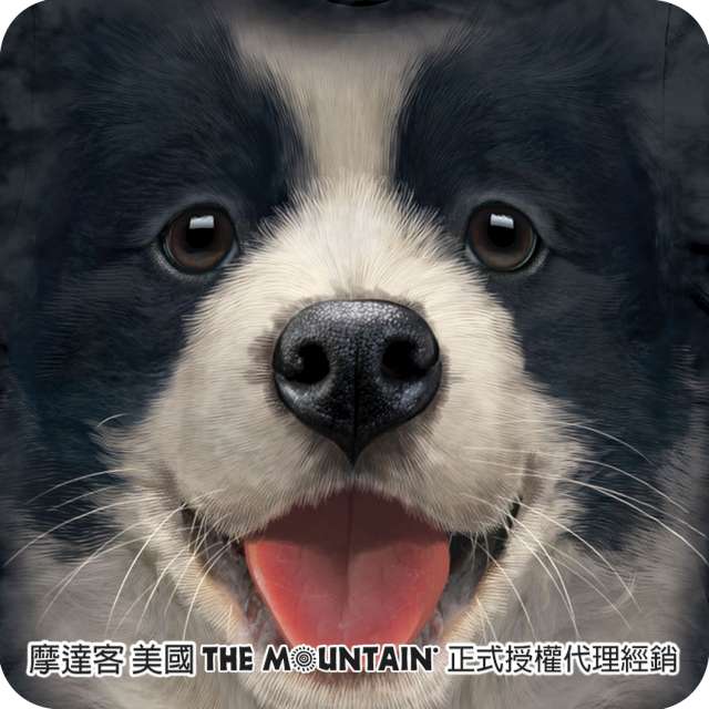 摩達客 美國進口The Mountain小邊境牧羊犬微笑 短袖T恤