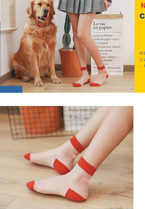 Wazi-OK繃設計玻璃絲襪短襪 (1組五入)