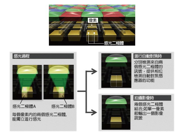 Canon EOS 7D Mark II 單機身 (中文平輸)