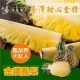 果之蔬 爆汁屏東金牌香甜蜜鳳梨(20顆組/單顆850克±5%) product thumbnail 1