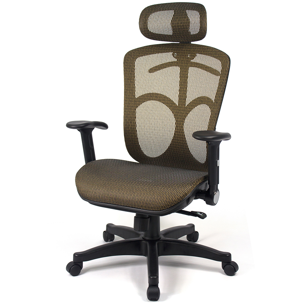 【aaronation】愛倫國度 - 第二代頭枕式電腦椅(LD338-金)