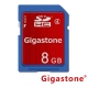 Gigastone  SDHC Class10  8G記憶卡 product thumbnail 1