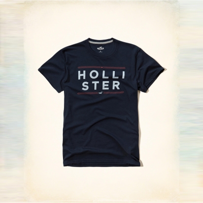 HCO hollister 海鷗 經典刺繡文字海鷗短袖T恤-深藍色