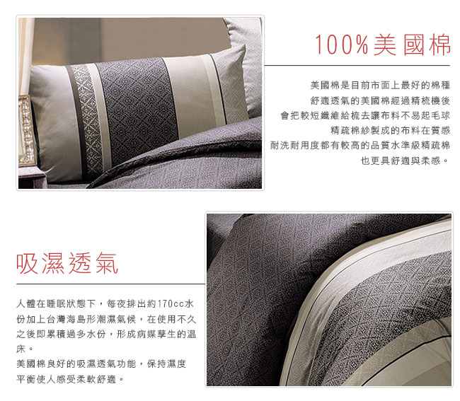 鴻宇HongYew 100%美國棉 防蹣抗菌-奧德塞卡其黑 兩用被床包組 單人三件式