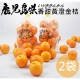 果之蔬＊日本鹿兒島香甜黃澄金桔 X2袋 (每袋300克±10%/10~13顆) product thumbnail 1