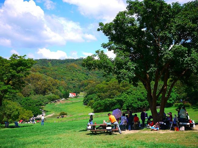 (苗栗)飛牛牧場 單人入園全票+飛牛白布丁壹組