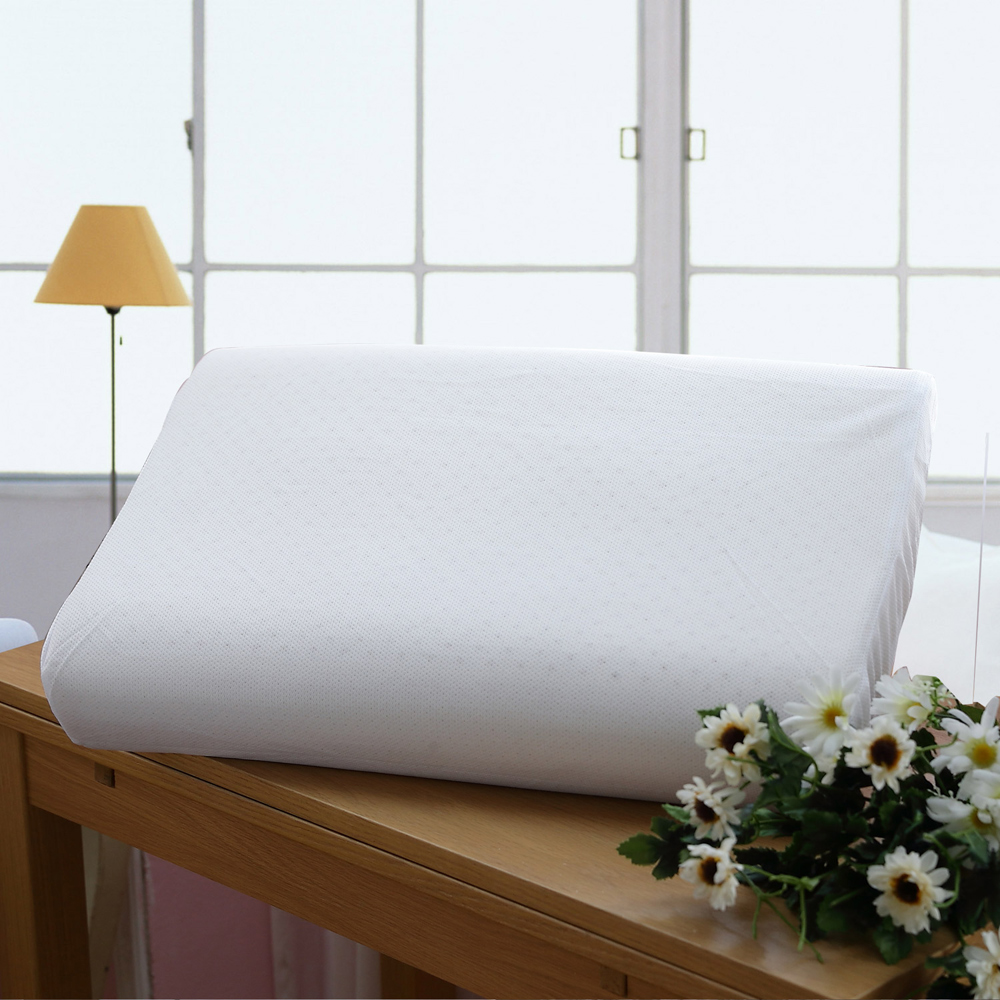 HOYACASA  人體工學乳膠枕(二入)
