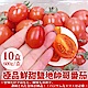 果之蔬＊極品鮮甜鹽地帥哥番茄 (每盒600g±10%) x10盒 product thumbnail 1