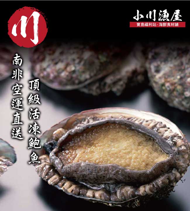 小川漁屋 極品南非活凍帶殼鮑魚4包（500G+-10%包/約6~8粒）