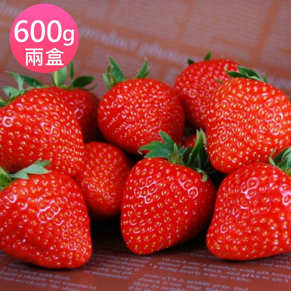 鄒頌 日本福岡草莓 600g/盒 (約12~18顆)  兩盒入