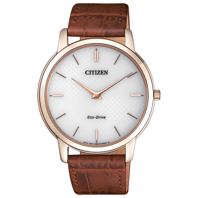 CITIZEN Eco-Drive 沉穩感時尚錶(AR1133-15A)-39mm