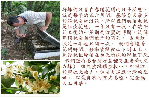 台灣蜂蜜 紅淡花蜂蜜(530gx2瓶)