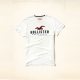 Hollister HCO 海鷗 經典大海鷗文字設計短袖T恤-白色 product thumbnail 1