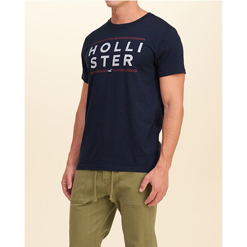 HCO hollister 海鷗 經典刺繡文字海鷗短袖T恤-深藍色