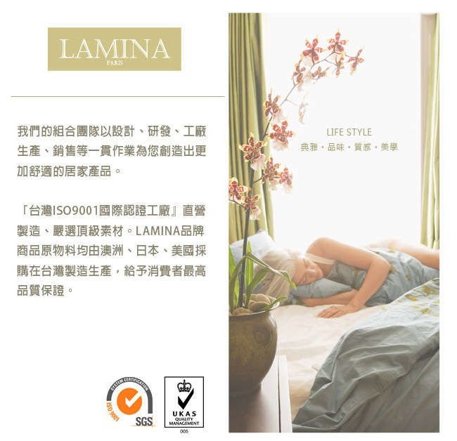 LAMINA高科技膜防蹣防水記憶枕-1入(灰)