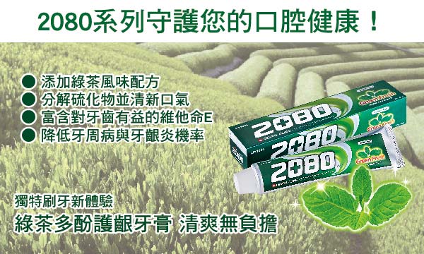 韓國2080 綠茶清新護齦牙膏(120gX2入)