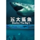 五大鯊魚 DVD product thumbnail 1