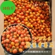 果之蔬-黃金溫室橙蜜香小蕃茄X10台斤±10% product thumbnail 1