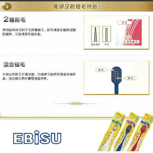 日本EBiSU 48孔6列優質倍護牙刷(圓頭舒適型)