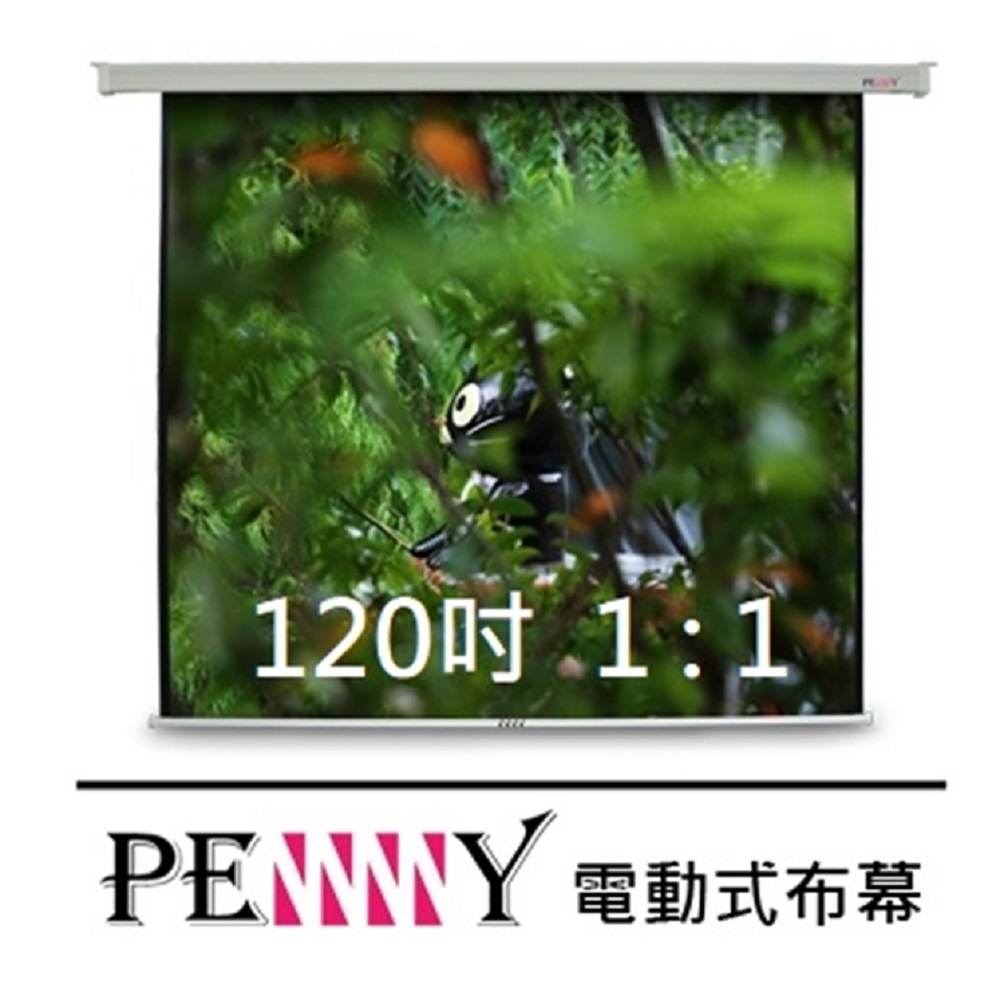 台灣專業製造~ PENNY PS-120(1:1) 120吋方型電動幕