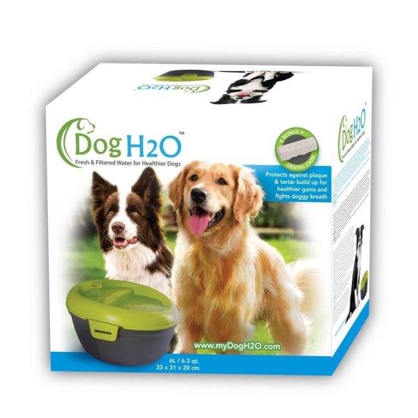 Dog&Cat H2O《有氧濾水機-大》6L 綠色