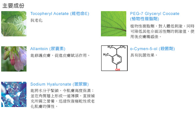 Aiberia艾珮蒂亞 玻尿酸超涵水美肌洗面乳150ml(送 專用起泡網)