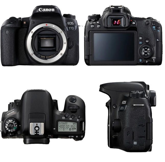 Canon EOS 77D 單機身 (公司貨)