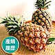 【果物配】金鑽鳳梨．產銷履歷(酸甜細緻/6公斤) product thumbnail 1