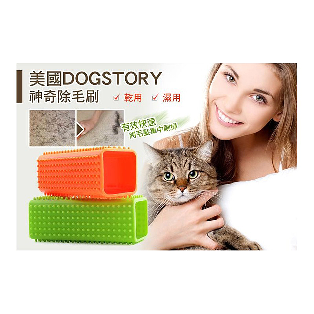 美國DOGSTORY 神奇除毛刷 1入