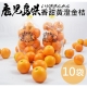 果之蔬＊日本鹿兒島香甜黃澄金桔 X10袋 (每袋300克±10%/10~13顆) product thumbnail 1