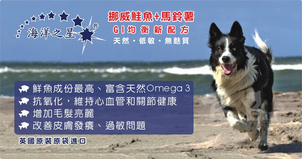 海洋之星FISH4DOGS 鮭魚無麩質低敏配方12kg、中大型成犬、原顆粒