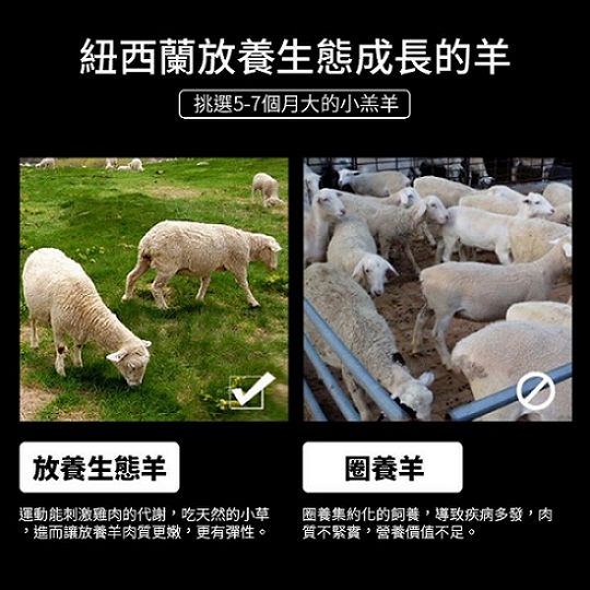 (買一送一) 海陸管家＊紐西蘭金典小羔羊腩排 共2包 (每包250±10%)