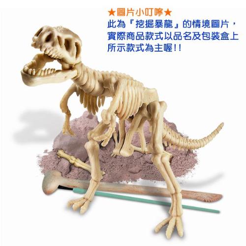 《4M挖掘考古》DIG-A-DINO SKELETON挖掘暴龍