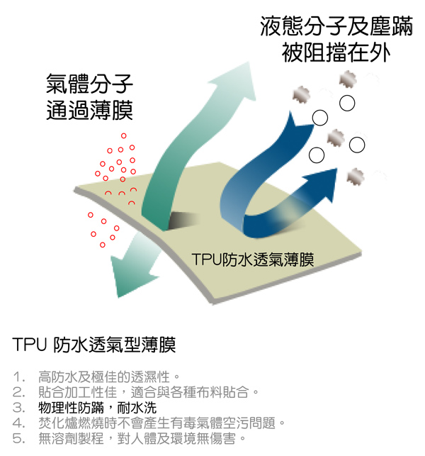 Carolan 專業防護級床包式保潔墊-雙人