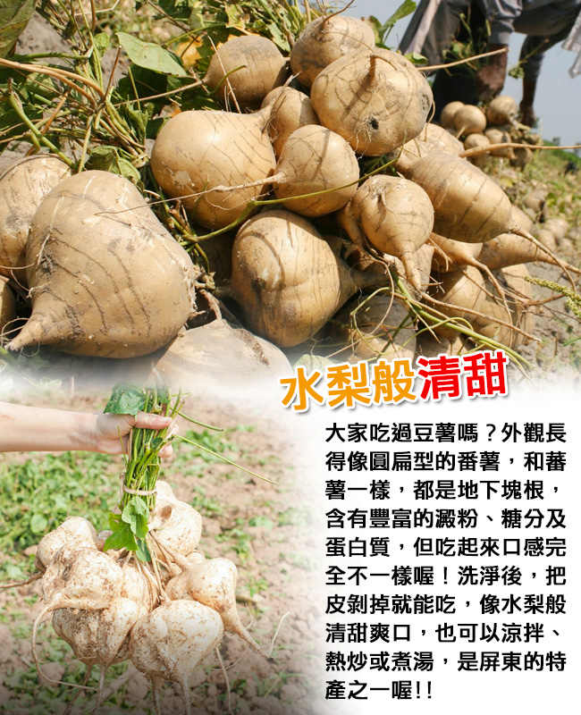 鮮採家 小資家庭綜合蔬果箱D組(洋蔥+地瓜+豆仔薯)