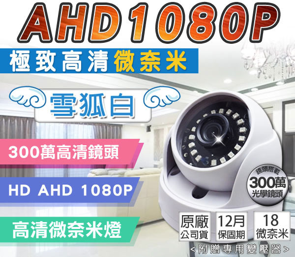 【kingNet】高解析 1080P 微奈米陣列燈 18 IR LED 室內半球 監視器