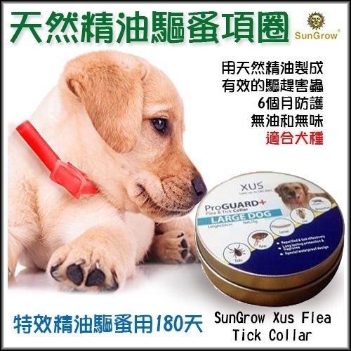 香港XUS 犬用180天長效功能型薄荷香茅精油驅蚤項圈
