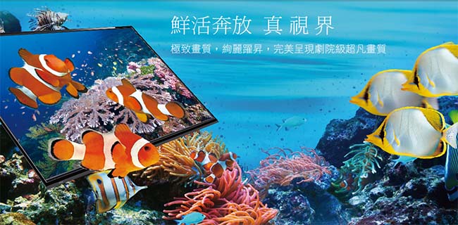 台灣三洋SANLUX 32吋 LED背光液晶顯示器+視訊盒 SMT-32TA1