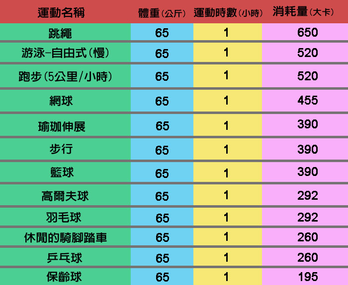 PUSH! SWEDA休閒運動無線跳繩