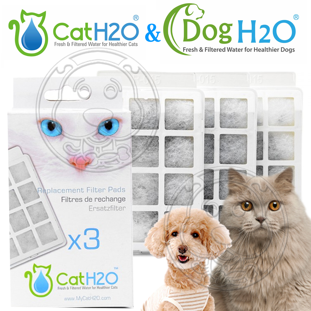 Dog & Cat》H2O有氧濾水機2L專用活性碳濾棉(一盒3入)