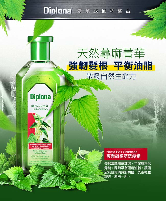 德國Diplona植萃大蕁麻養護洗髮精500mlx6入組(不含矽靈)