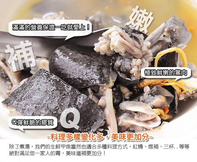 那魯灣 鮮凍生鮮甲魚(鱉)3包(500g/包)