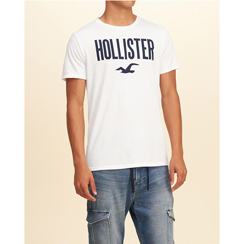 HCO hollister 海鷗 經典印刷文字 大海鷗圖騰短袖T恤-白色