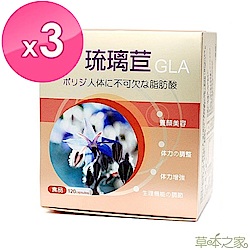 草本之家-琉璃苣油軟膠囊120粒X3盒