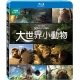 BBC 大世界小動物 藍光 BD product thumbnail 1